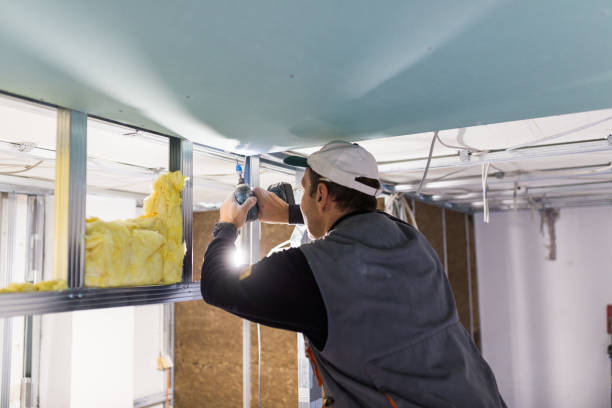Best Residential Insulation in Menasha, WI